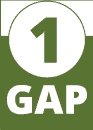 gap1_93